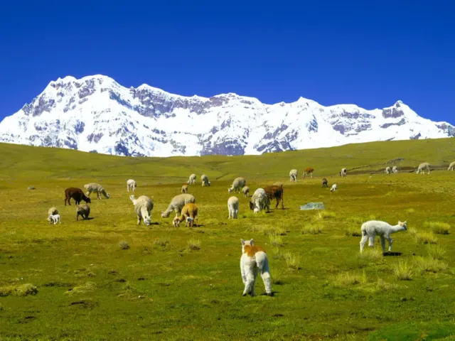 Paisaje del nevado Ausangate