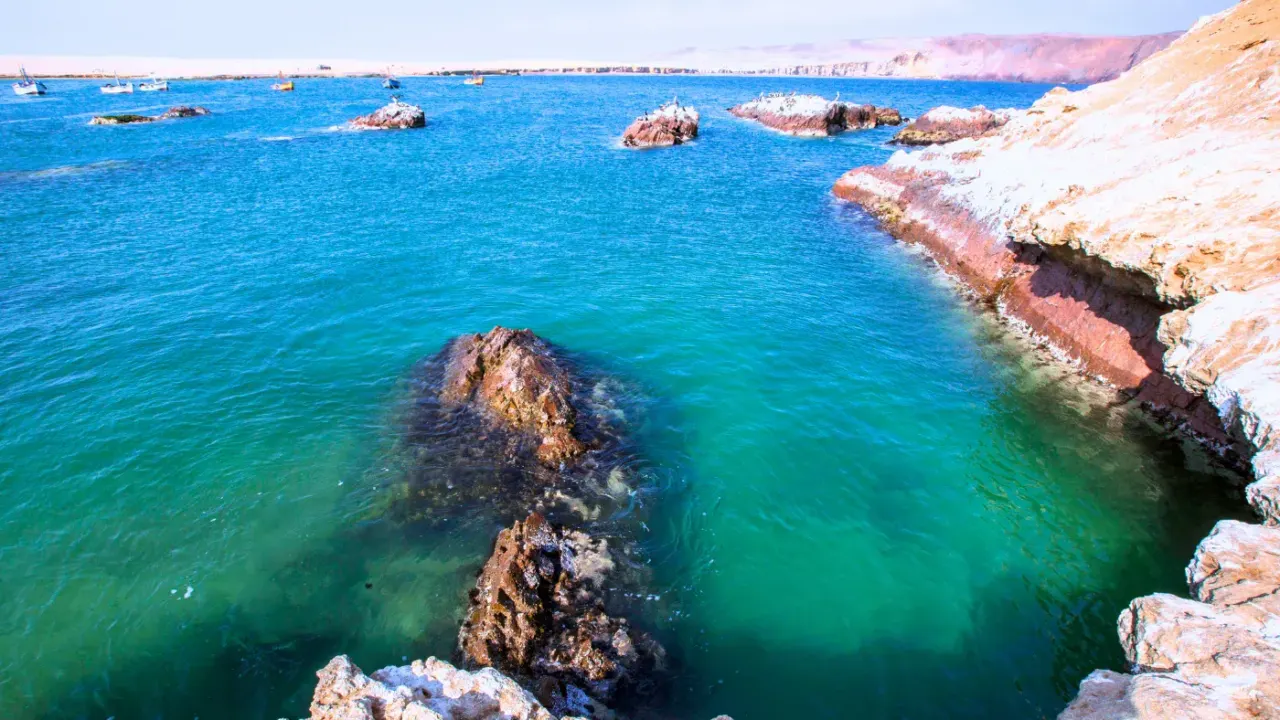 Playas y acantilados de la Reserva Nacional de Paracas