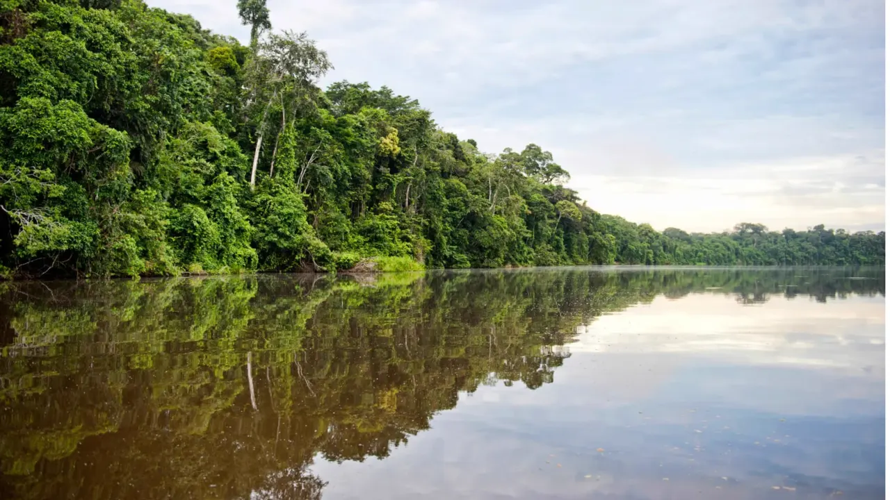Río en la Reserva Nacional Tambopata