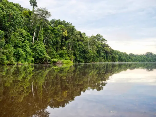 Río en la Reserva Nacional Tambopata